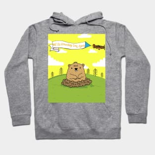 Happy groundhog day cute colorful holiday shirt Hoodie